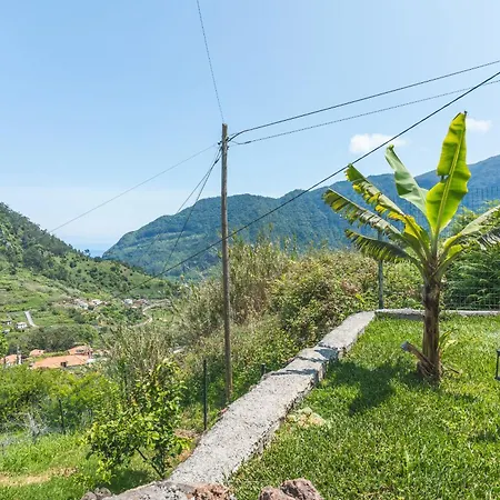 Mystic Mountain By Atlantic *